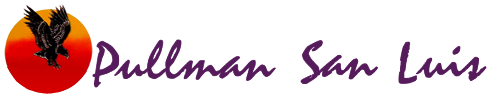Logo Pullman San Luis